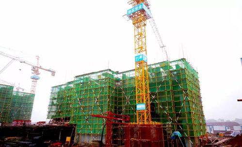 壹號(hào)家書(shū)丨北風(fēng)促急,江灣工程加速趕進(jìn)