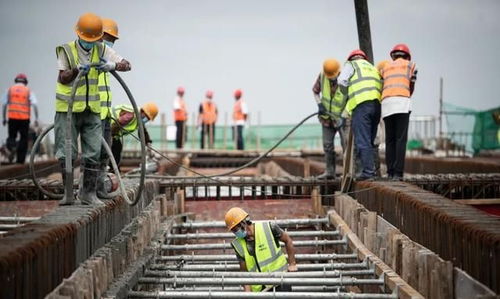 武大高速公路又有新進(jìn)展,未來(lái)建成后武漢至大悟車程縮短至一小時(shí)